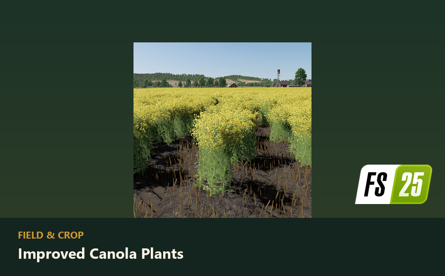 Improved Canola Plants preview
