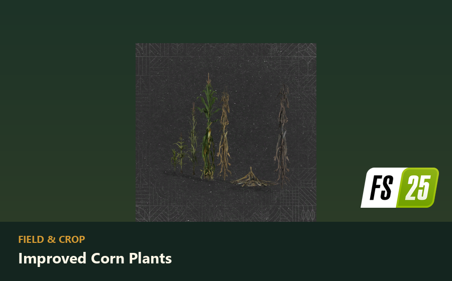 Improved Corn Plants preview