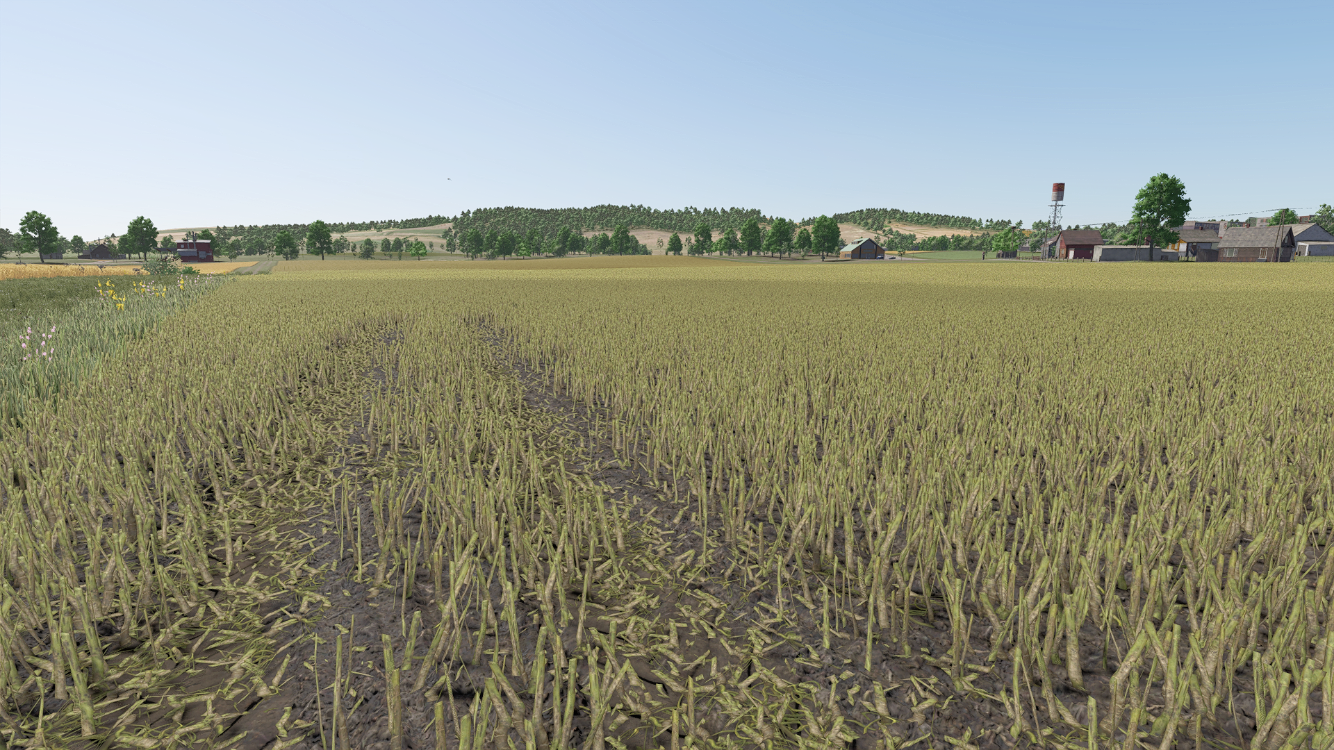 Improved Canola Plants gameplay screenshot