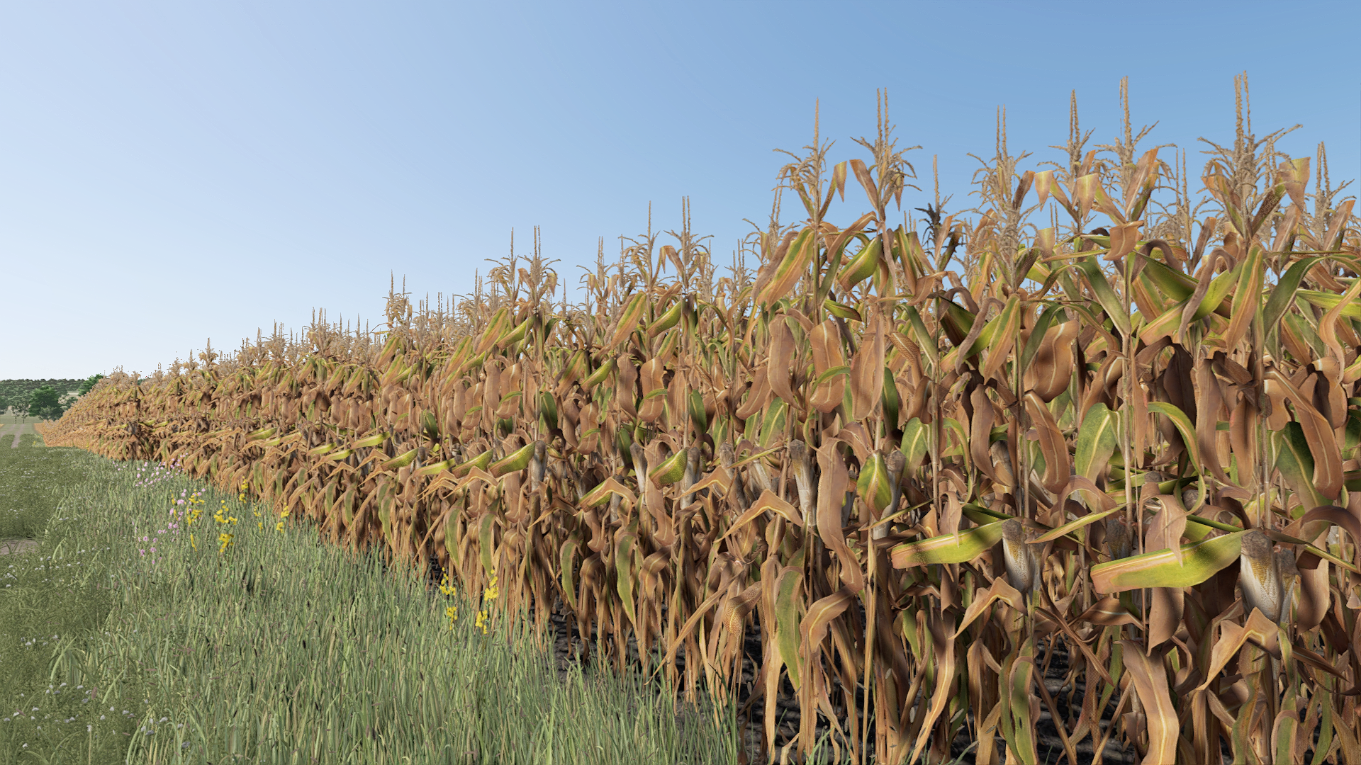 Improved Corn Plants Second gameplay screenshot