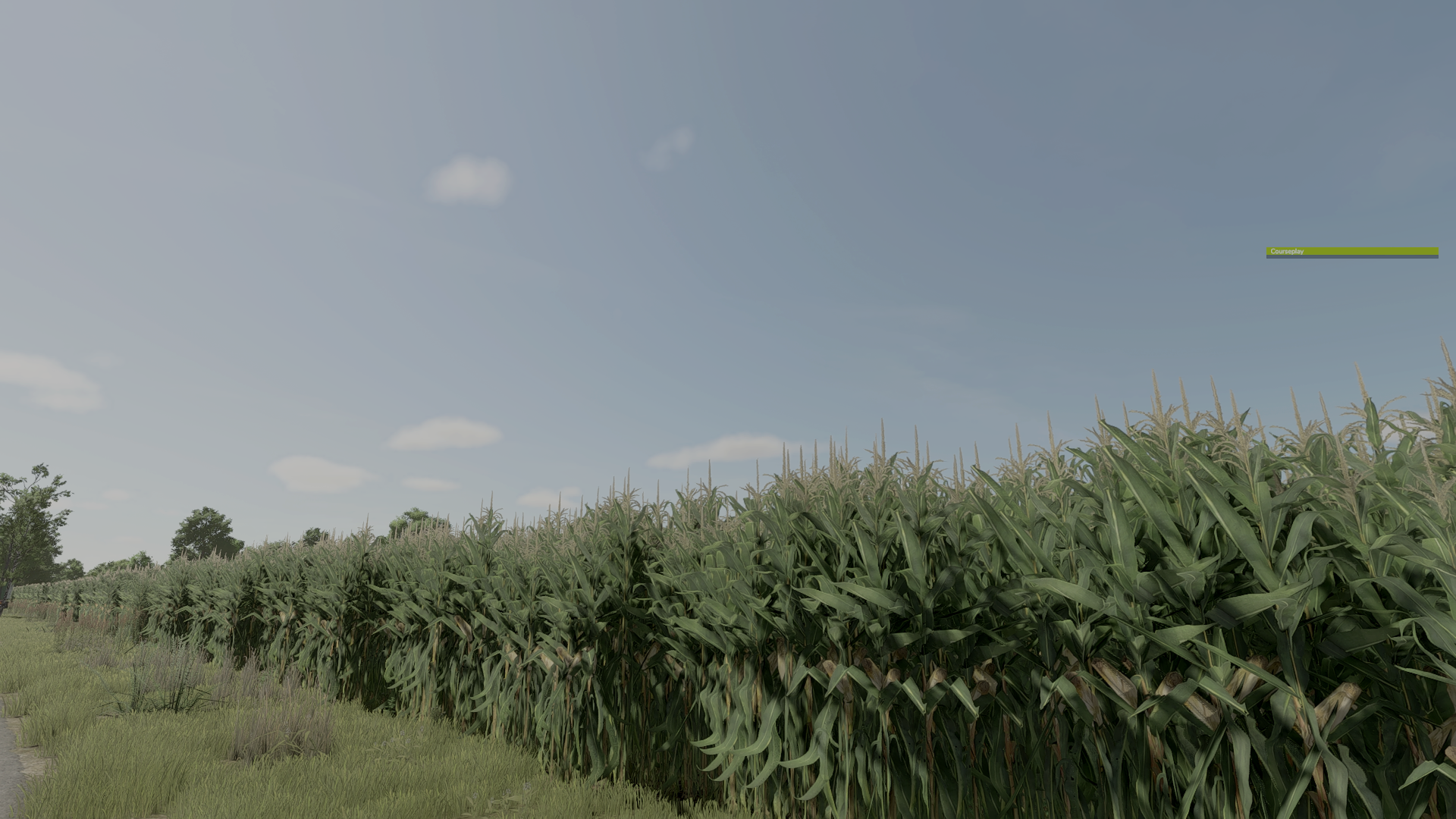 Improved Corn Plants Three gameplay screenshot