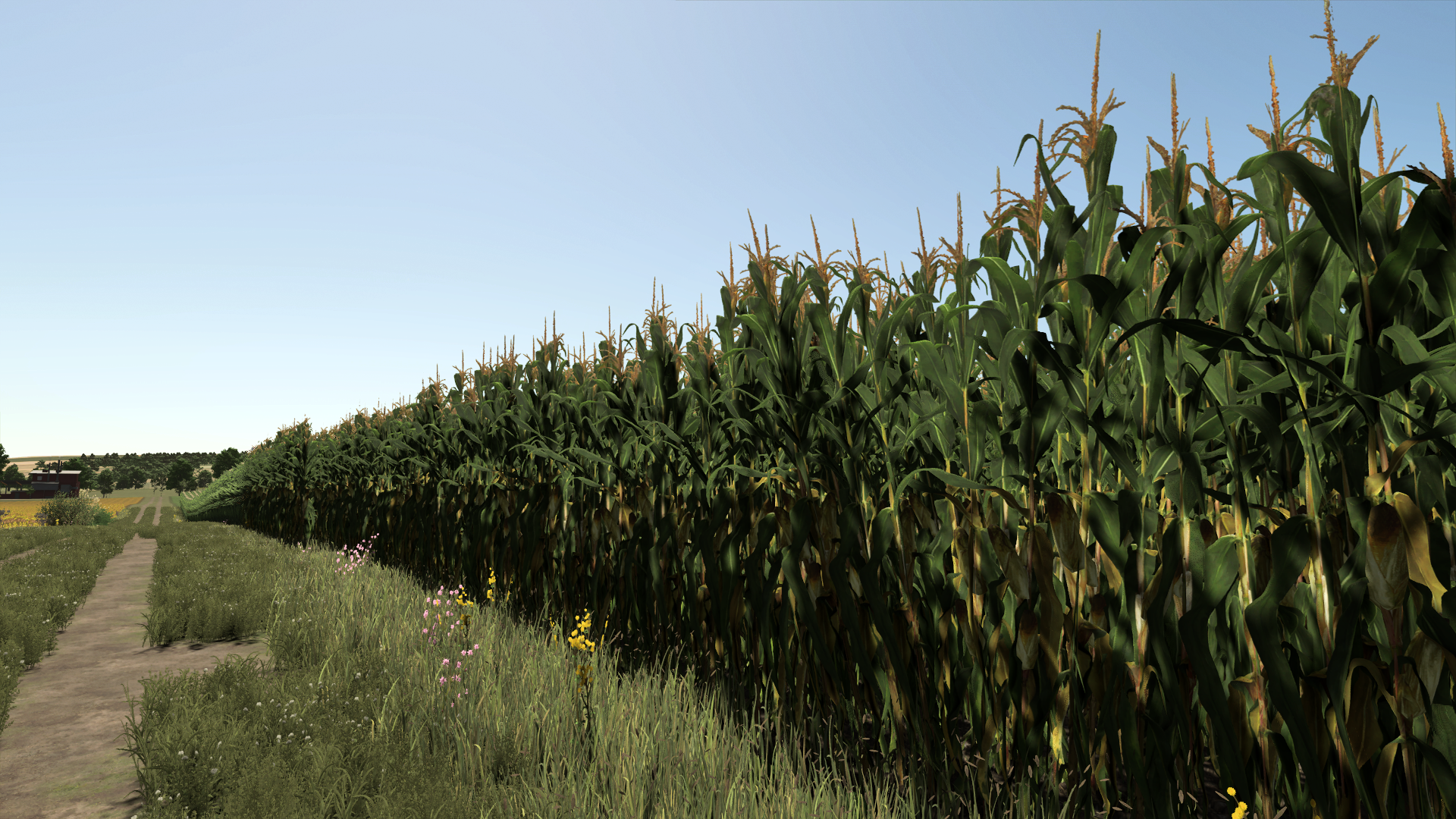 Improved Corn Plants gameplay screenshot
