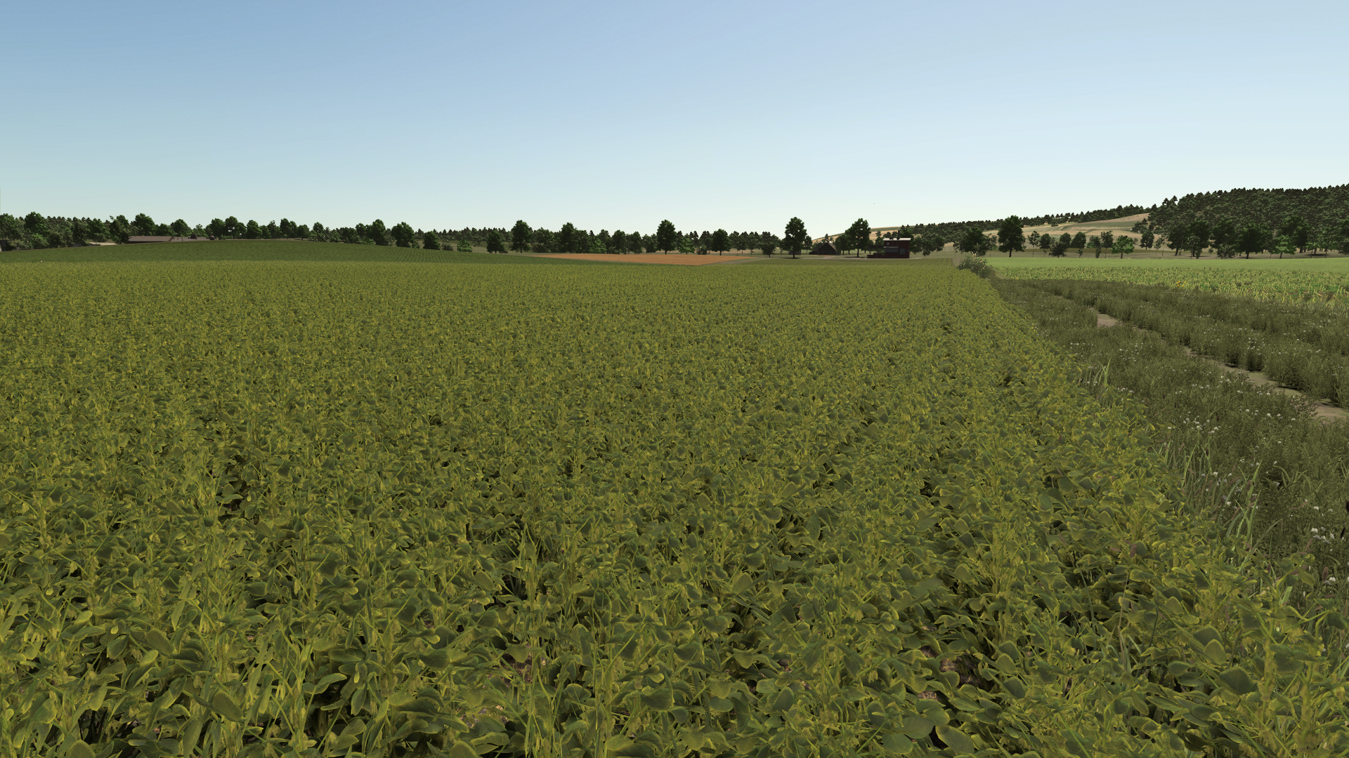 Improved Soybean Plants gameplay screenshot